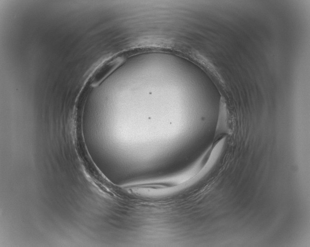 X0000064040580200602171646