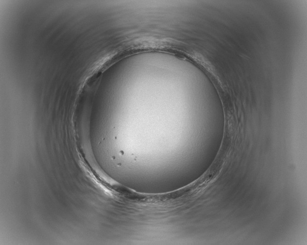 X0000064040581200602171646