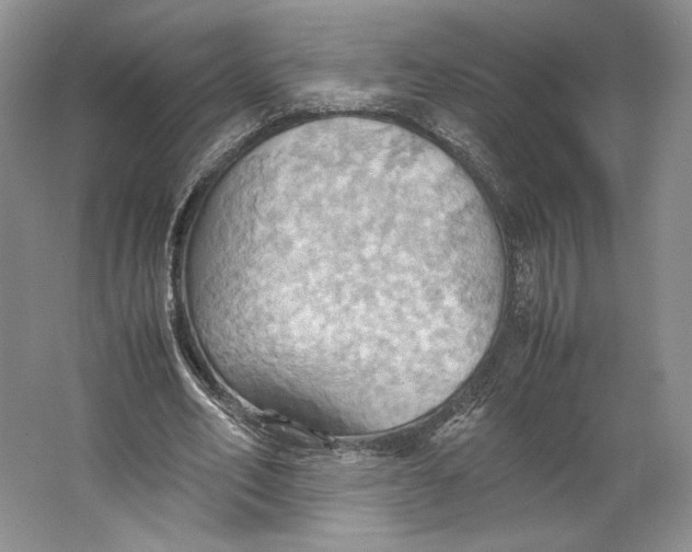 X0000064040582200602171646