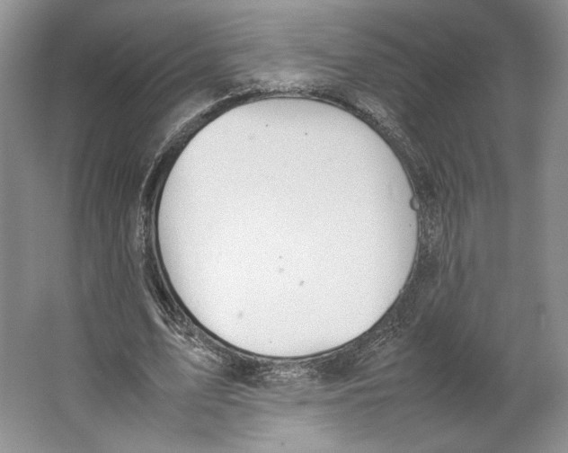 X0000064040583200602171646