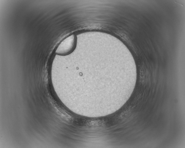 X0000064040584200602171646