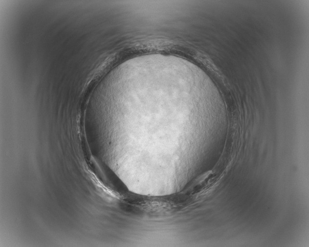 X0000064040585200602171646