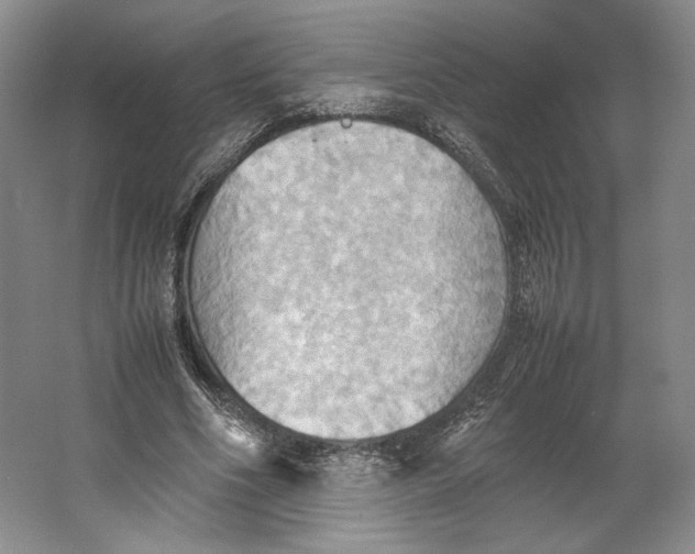 X0000064040586200602171646