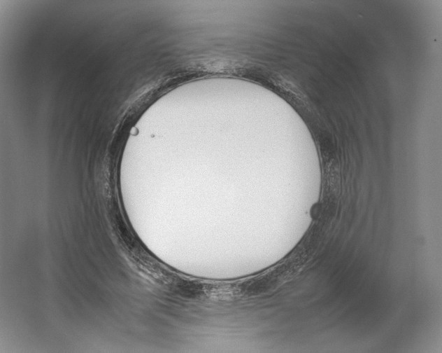 X0000064040587200602171646