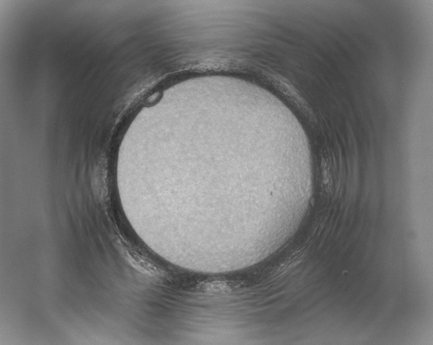 X0000064040588200602171646