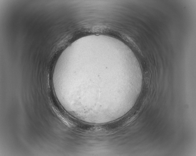 X0000064040589200602171646