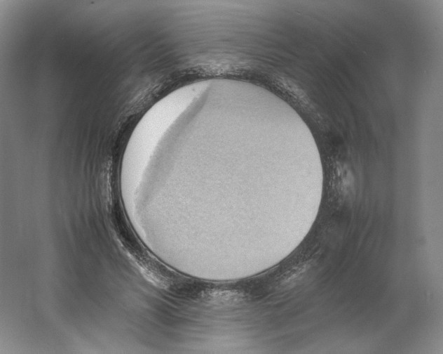 X0000064040590200602171646