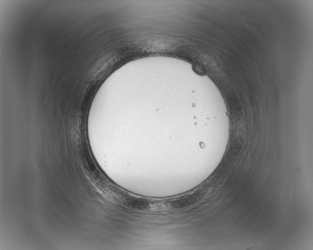 X0000064040591200602171646