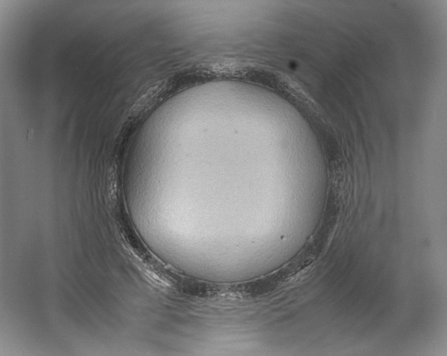 X0000064040593200602171646