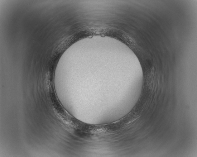 X0000064040594200602171646