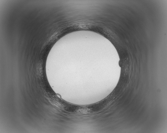 X0000064040595200602171646