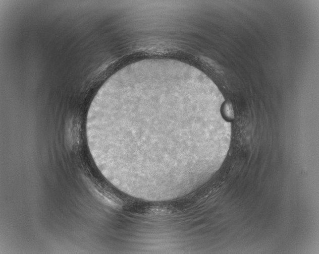 X0000064040596200602171646