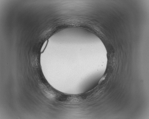 X0000064040597200602171646