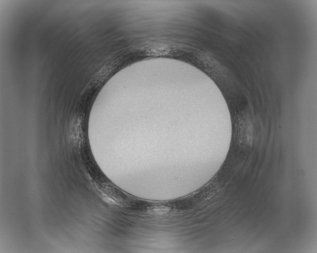 X0000064040598200602171646