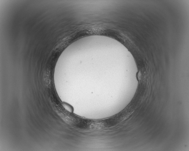 X0000064040599200602171646