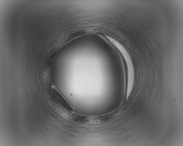 X0000064040601200602171646