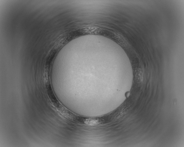 X0000064040602200602171646