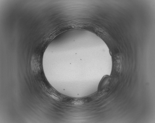 X0000064040604200602171646