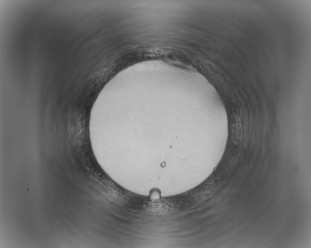 X0000064040608200602171646