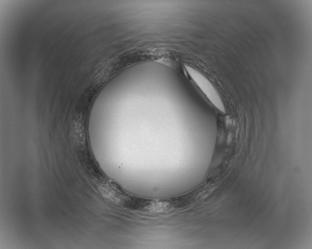 X0000064040609200602171646