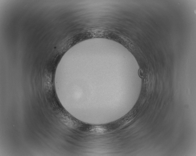 X0000064040610200602171646