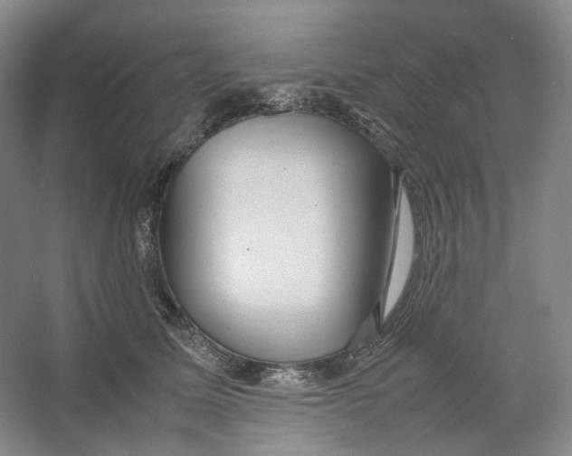 X0000064040611200602171646