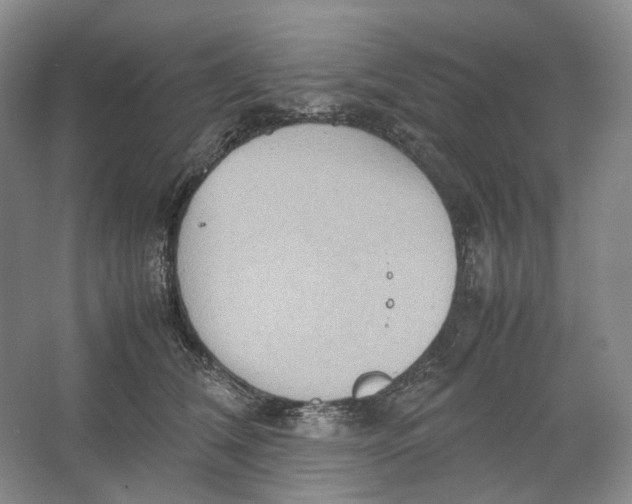 X0000064040612200602171646