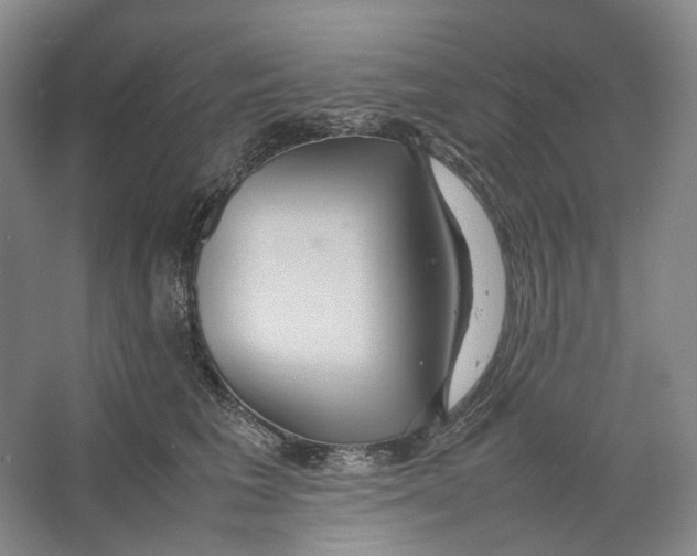 X0000064040613200602171646