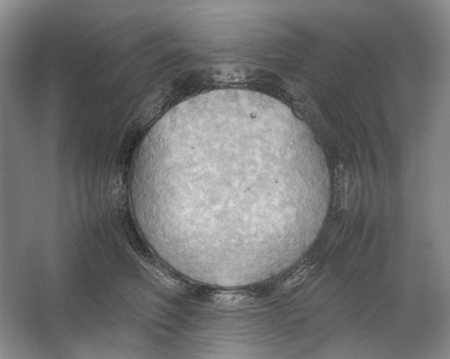 X0000064040614200602171646