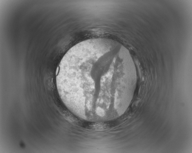 X0000064040615200602171646