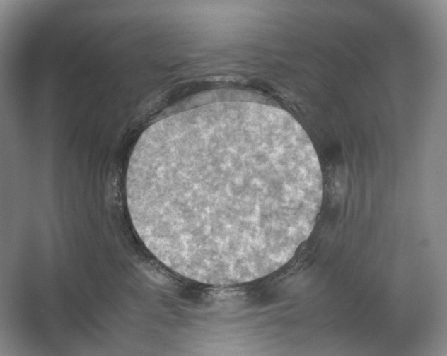 X0000064040619200602171646