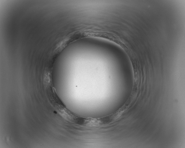 X0000064040621200602171646