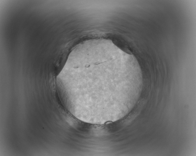 X0000064040624200602171646