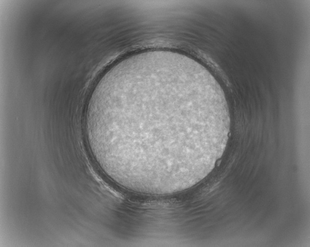 X0000064040625200602171645