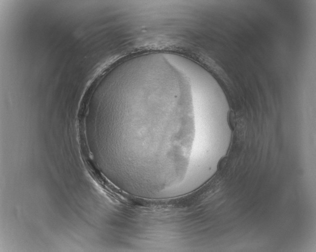 X0000064040626200602171645