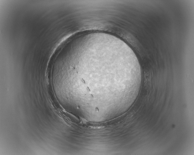 X0000064040628200602171645