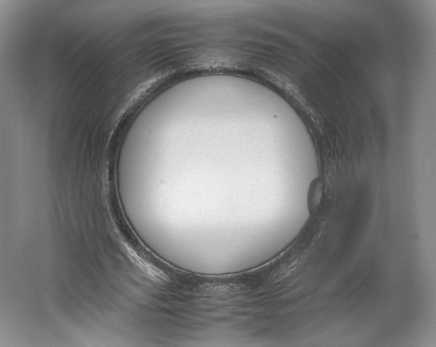 X0000064040629200602171645