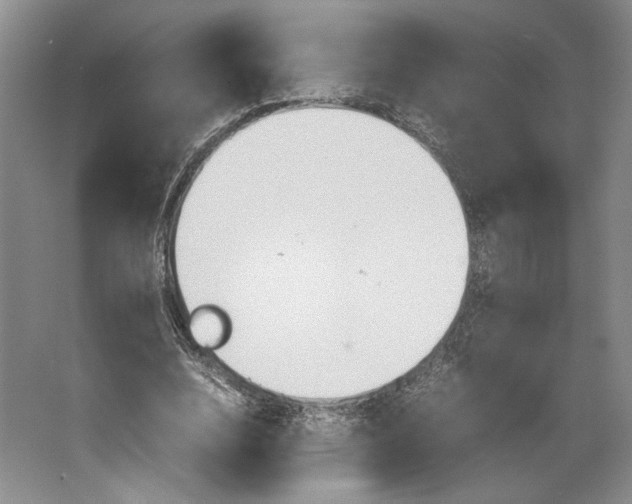 X0000064040632200602171645