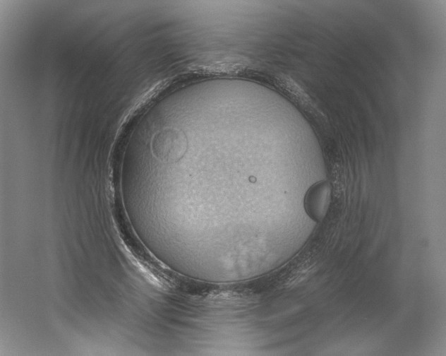 X0000064040634200602171645