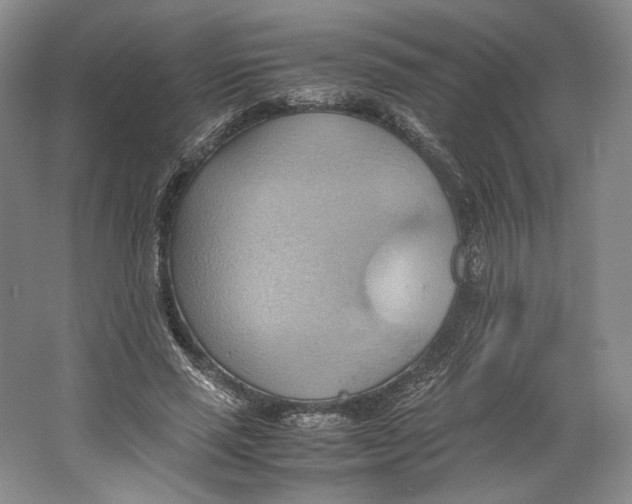 X0000064040637200602171645