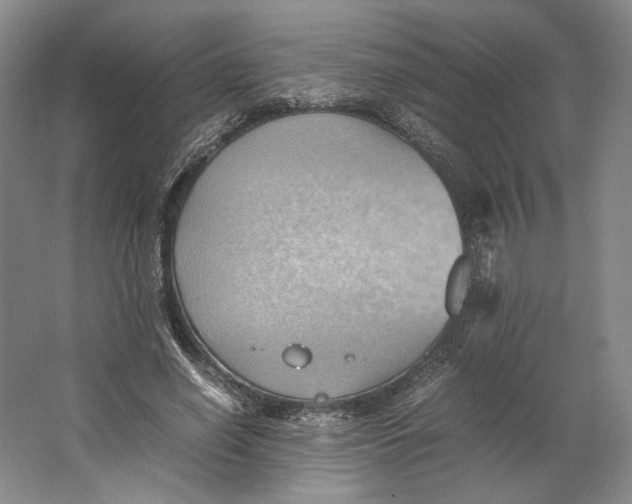 X0000064040638200602171645