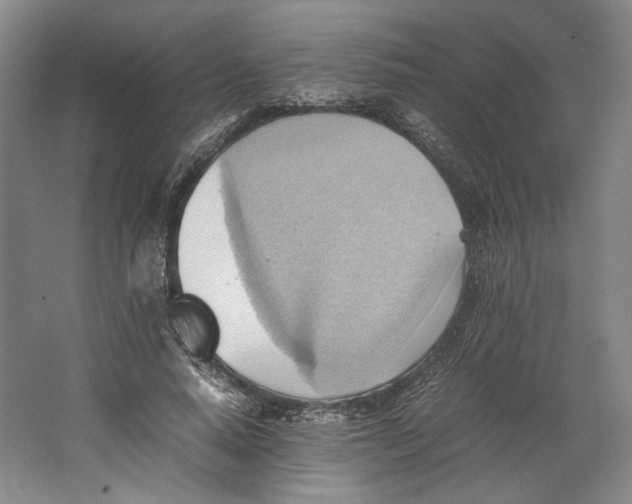 X0000064040640200602171645