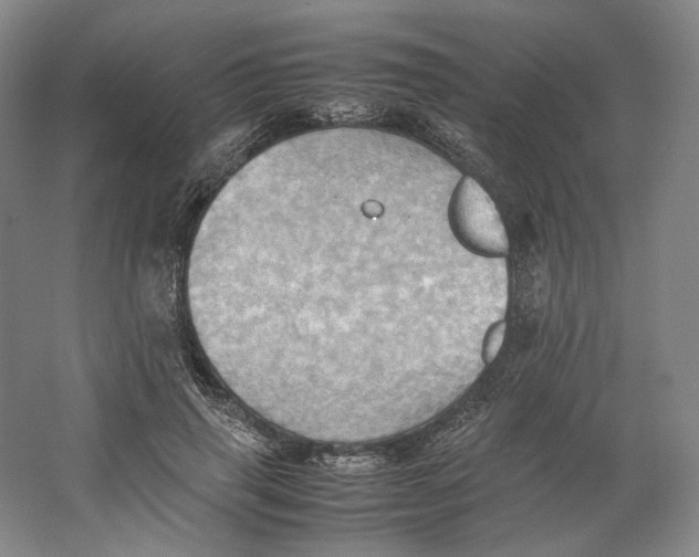 X0000064040645200602171645