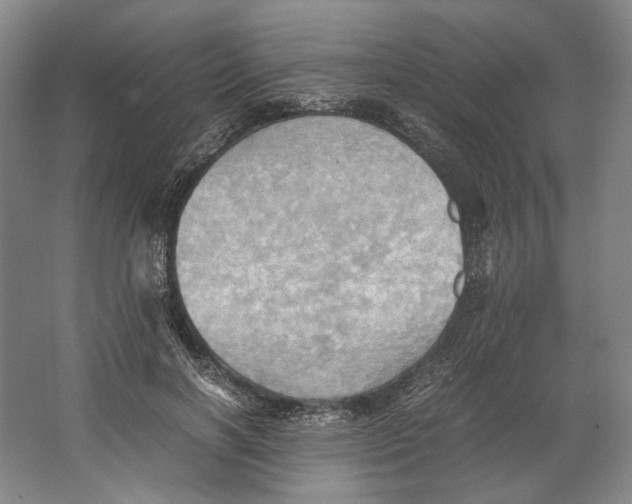 X0000064040646200602171645