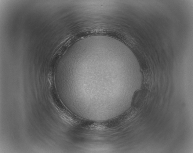 X0000064040648200602171645