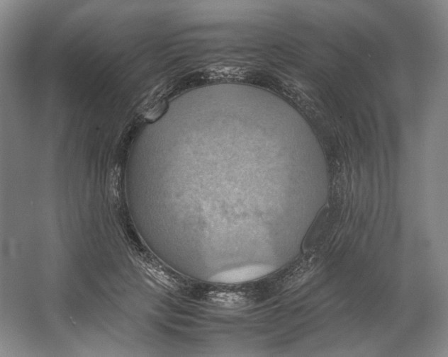 X0000064040649200602171645