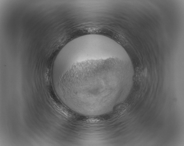 X0000064040650200602171645