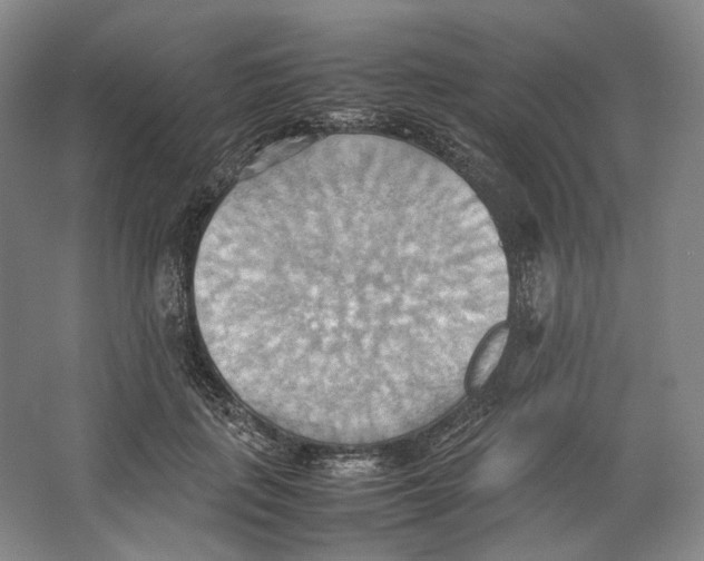 X0000064040651200602171645