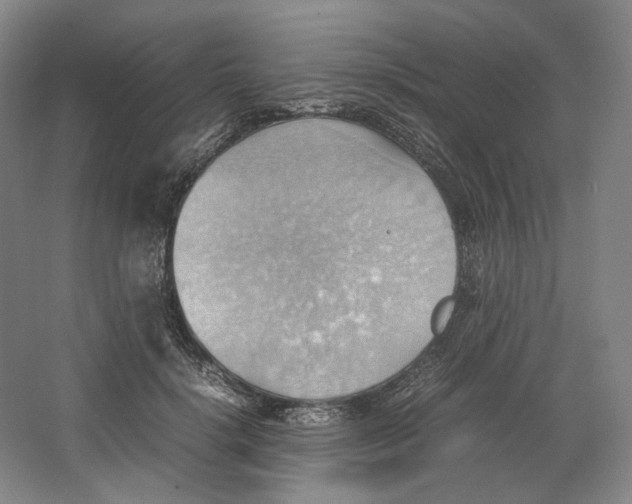 X0000064040652200602171645