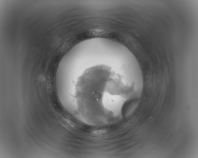 X0000064040653200602171645